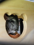 Chinchilla Hanging Hideout House