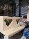 Chinchilla Hanging Hay Feeder Box