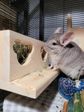 Chinchilla Hanging Hay Feeder Box