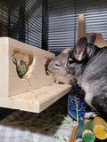 Chinchilla Hanging Hay Feeder Box