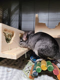 Chinchilla Hanging Hay Feeder Box