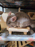 Chinchilla Couch Loveseat Ledge