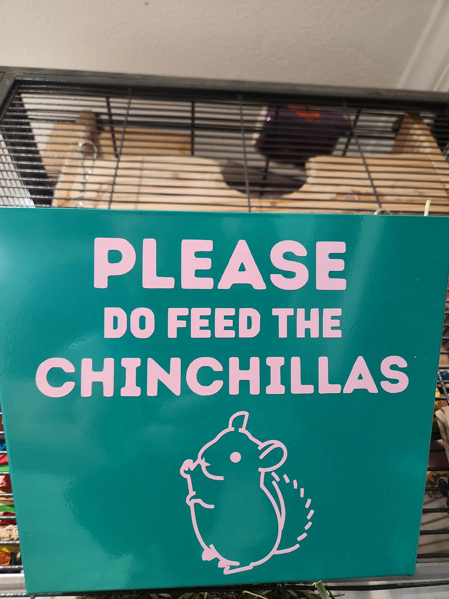Chinchilla Hanging Metal Hay Feeder, Hanging Hay Rack Feeder For Outside Cage