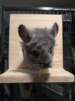 Chinchilla Hanging Hideout House, Open View Back and Front Ledge, Side Cage Mount Kiln Dried Pine Hardware Incl.