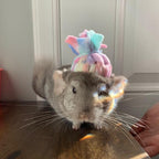 Chinchilla Beanie Fleece Hat
