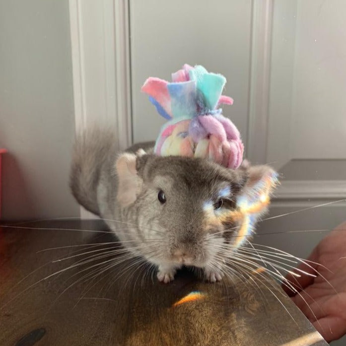Chinchilla Beanie Fleece Hat