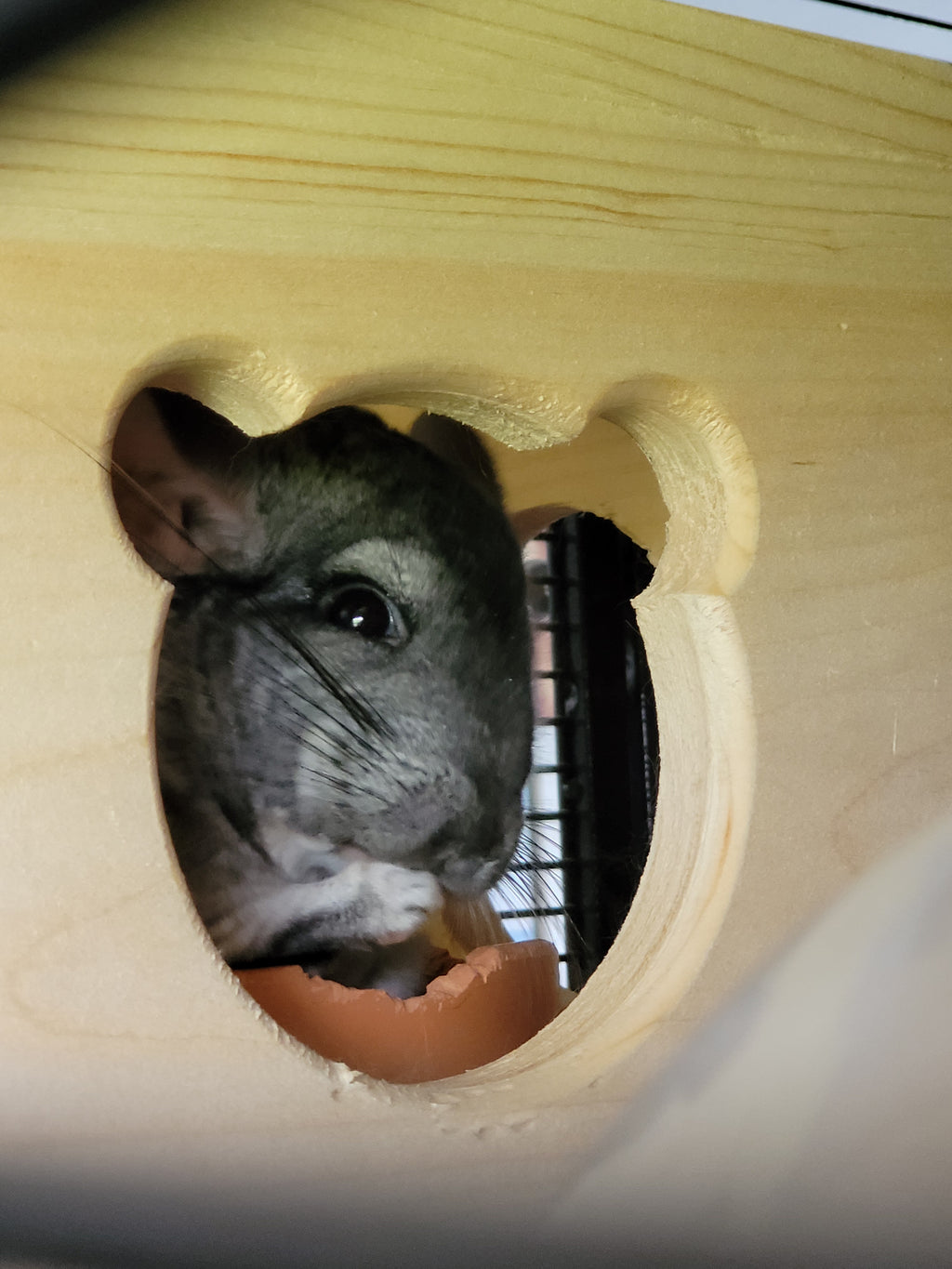 Chinchilla Hanging Hideout House