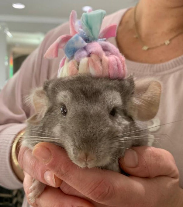 Chinchilla Beanie Fleece Hat