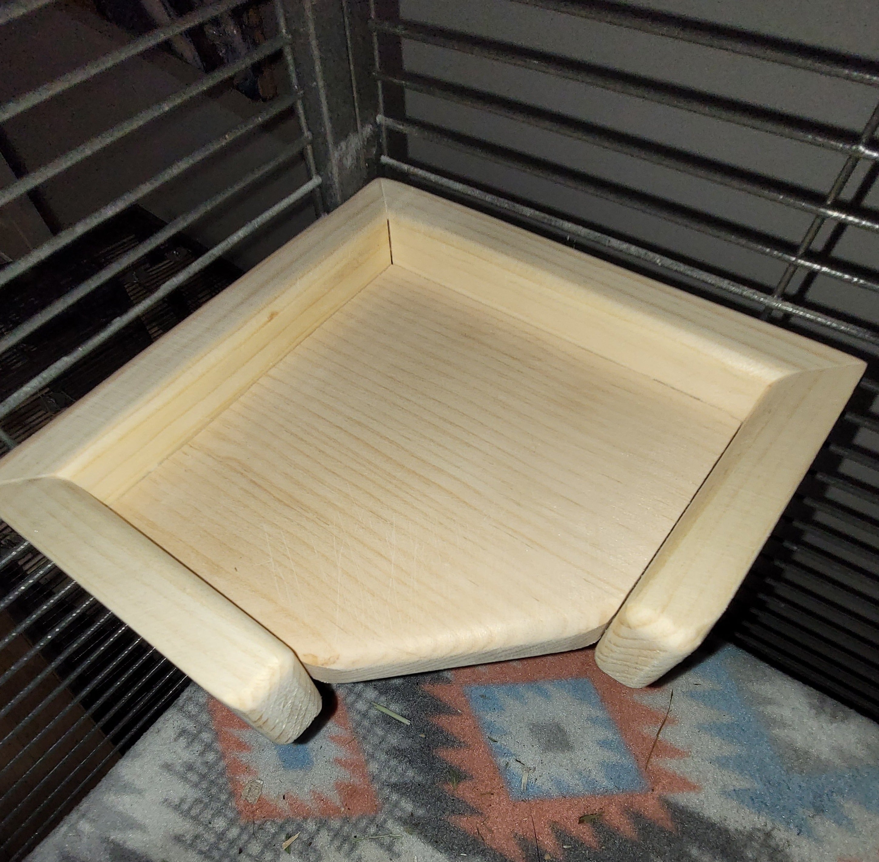 Chinchilla Ledge Hanging Bridge