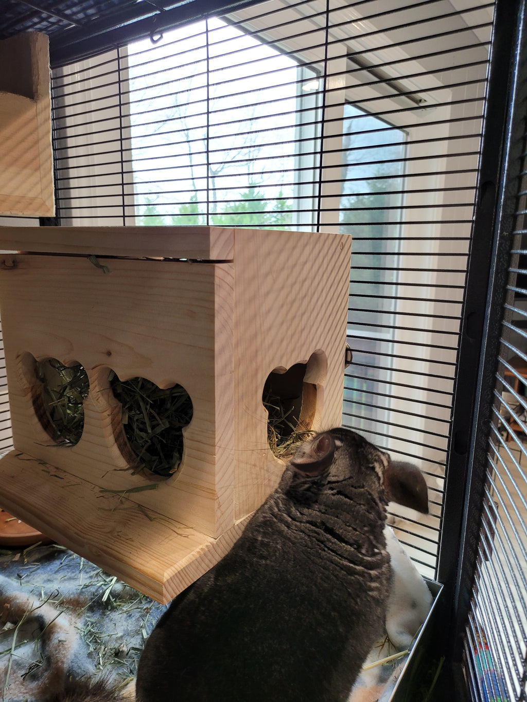 Chinchilla Hay Feeder Box