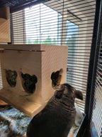 Chinchilla Hay Feeder Box