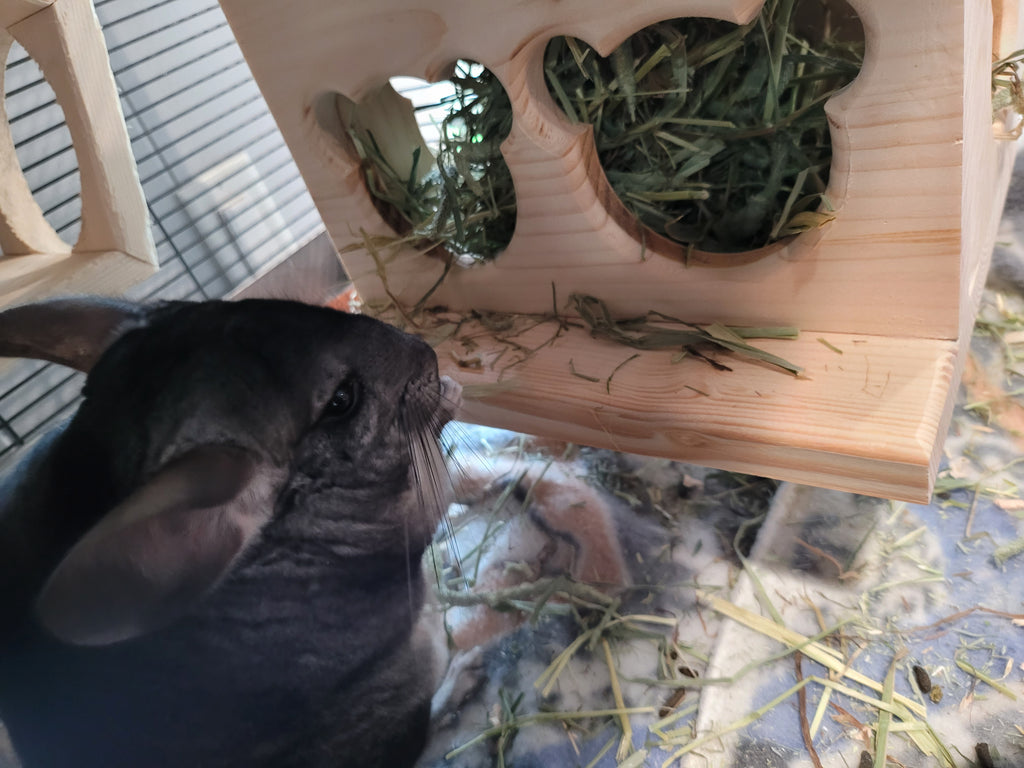 Chinchilla Hay Feeder Box