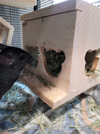 Chinchilla Hay Feeder Box