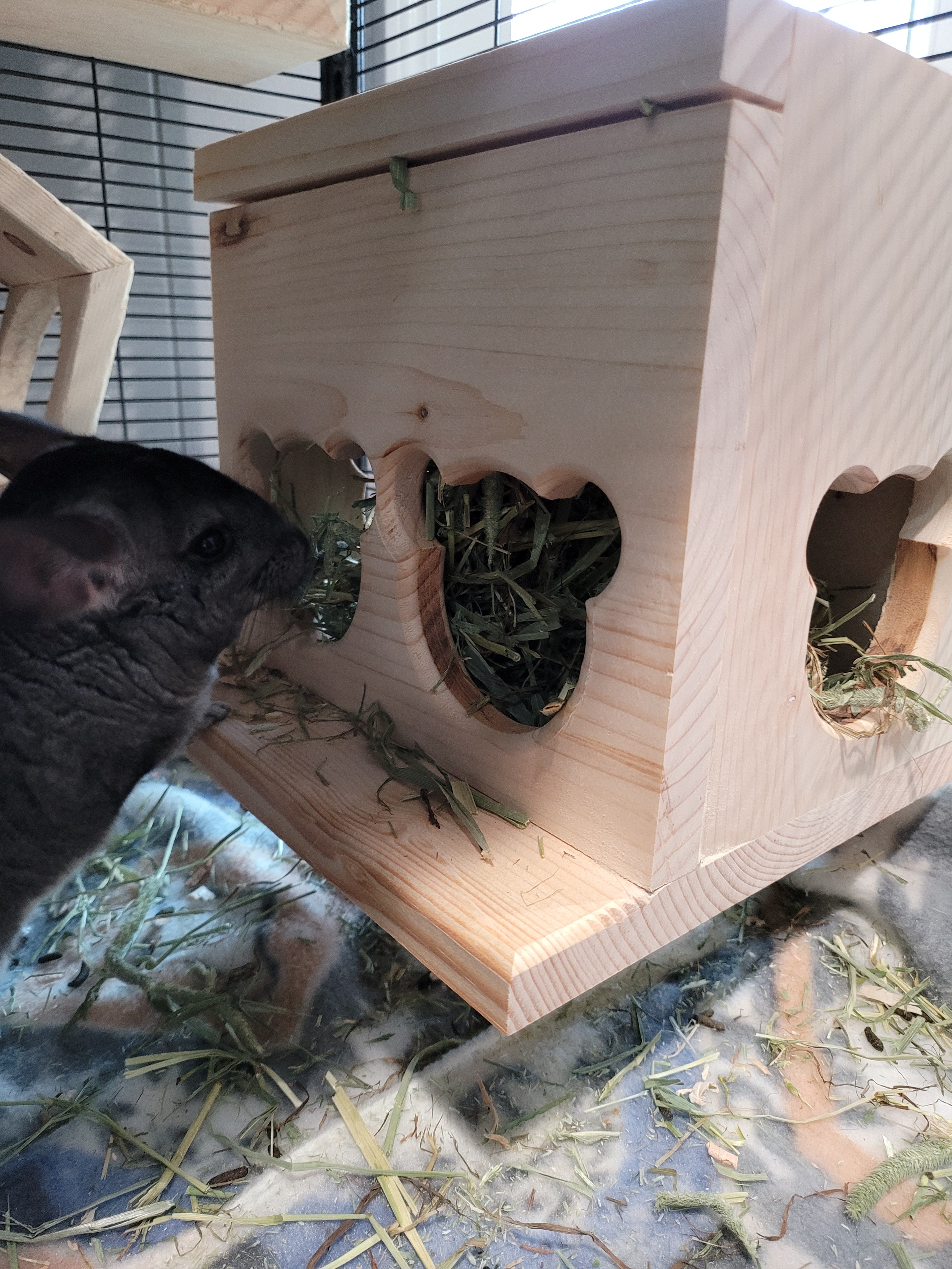 Chinchilla Hay Feeder Box