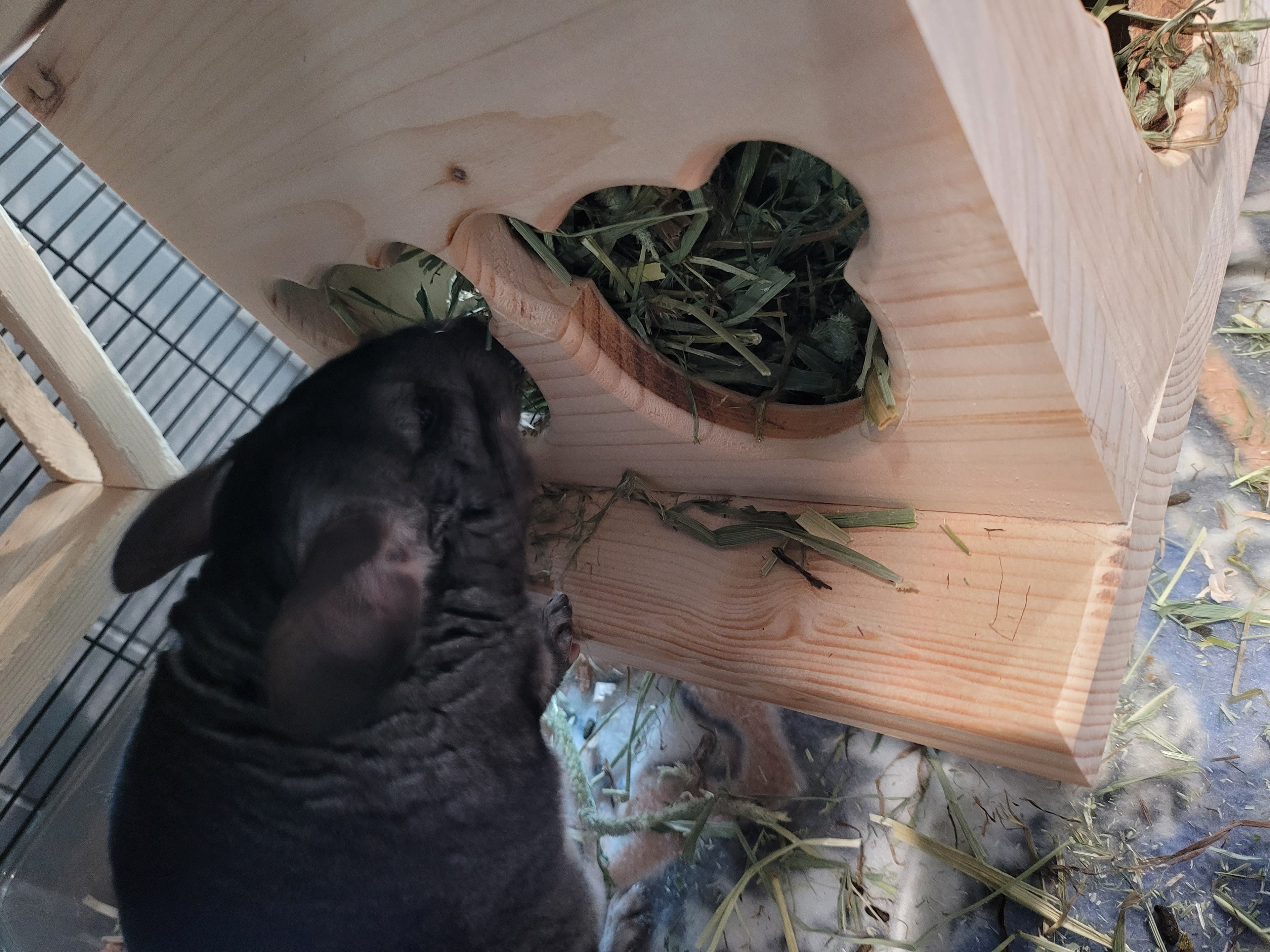 Chinchilla Hay Feeder Box