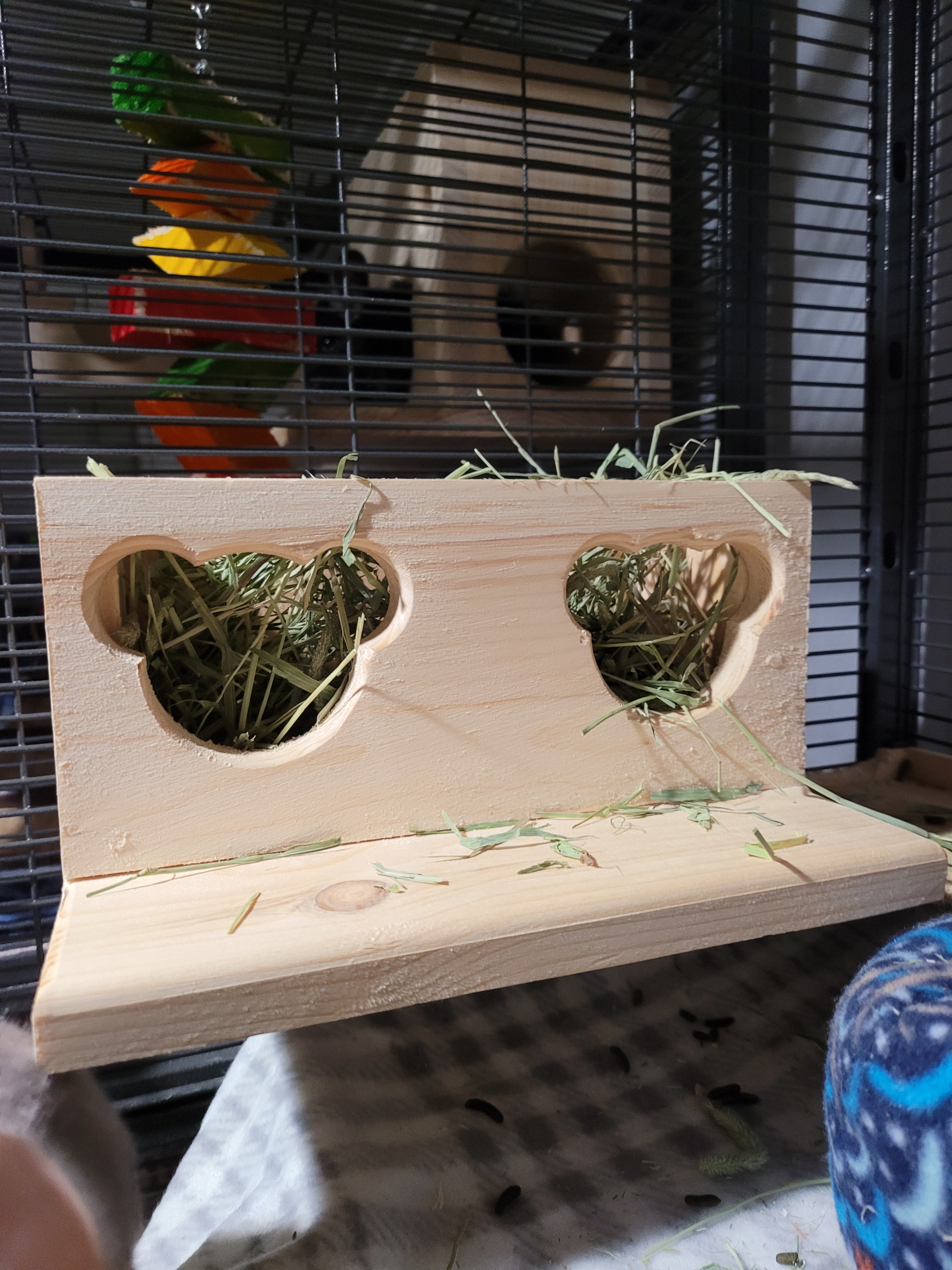 Chinchilla Hanging Hay Feeder Box