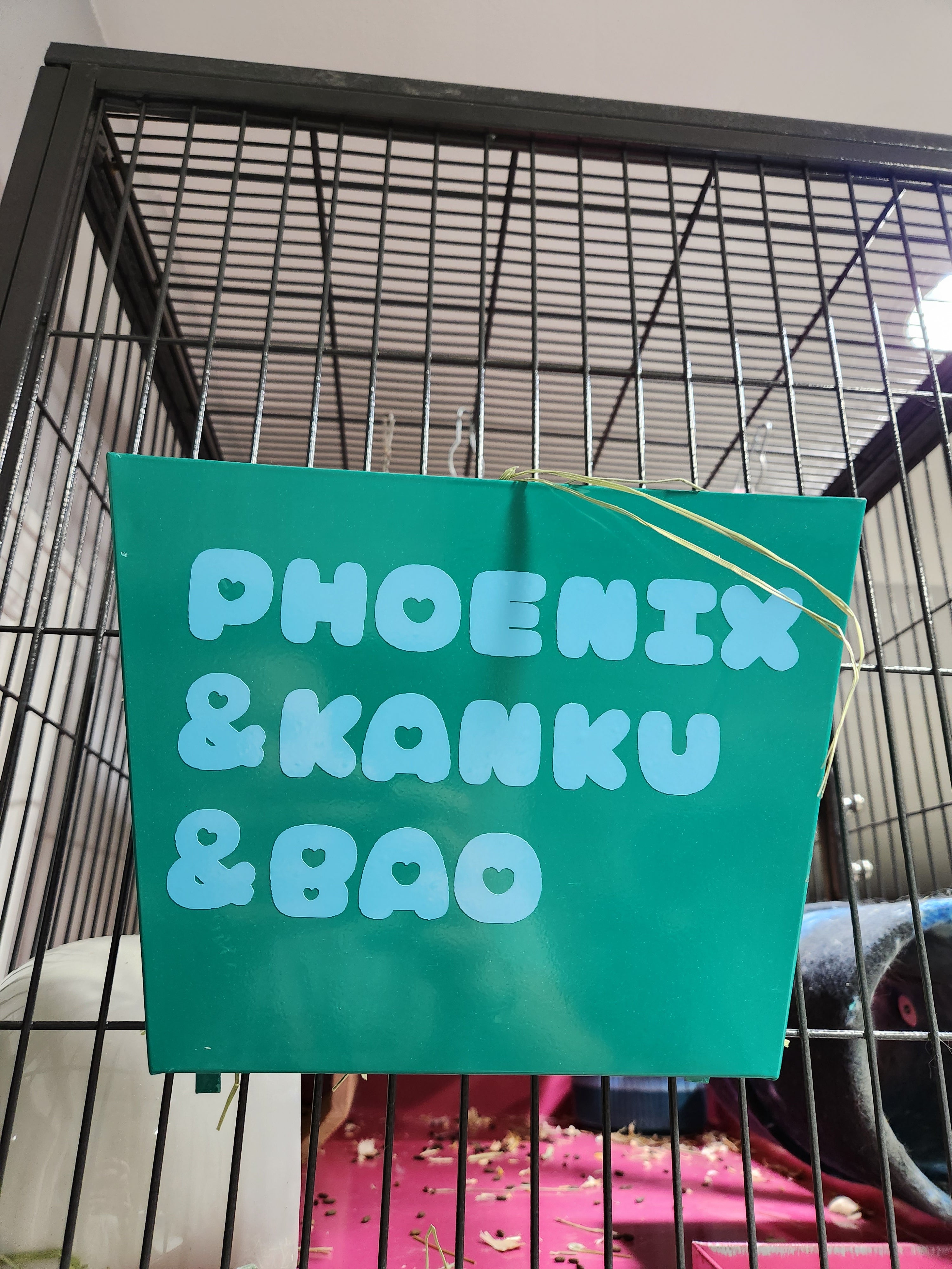 Personalized Chinchilla Hanging Metal Hay Feeder, Hanging Hay Rack Feeder For Outside Cage. Have it "animalized" for your pets!