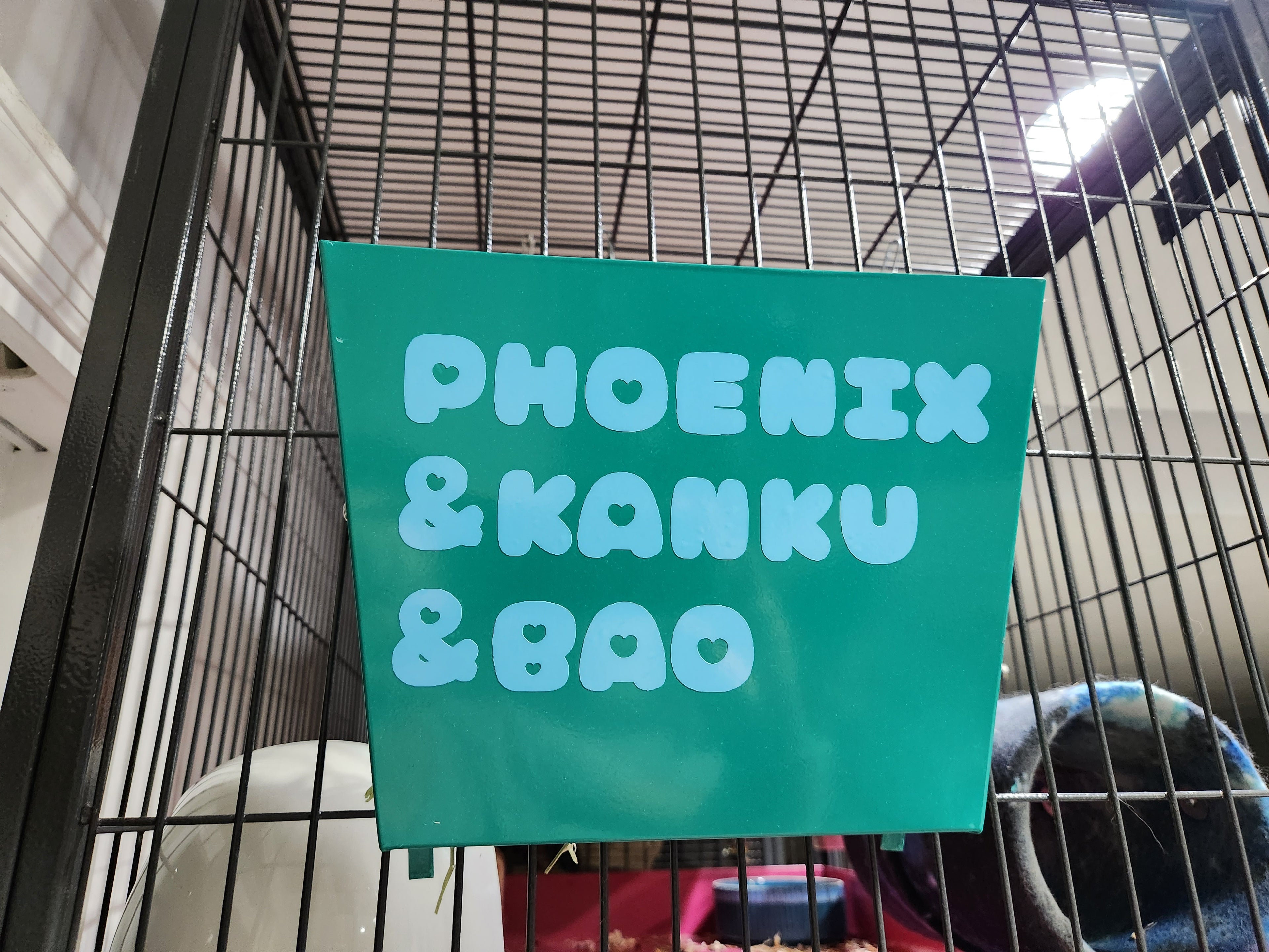 Personalized Chinchilla Hanging Metal Hay Feeder, Hanging Hay Rack Feeder For Outside Cage. Have it "animalized" for your pets!