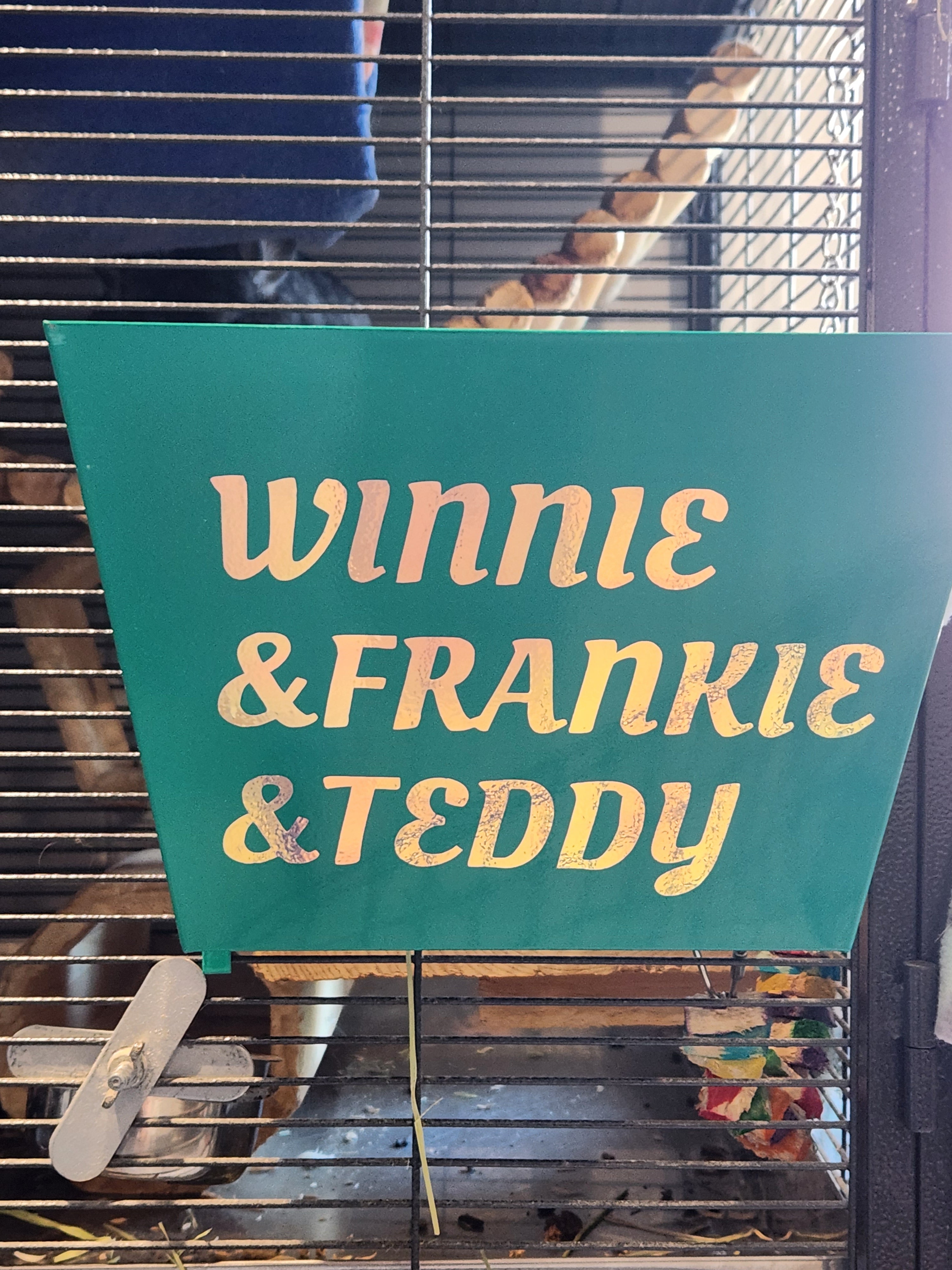 Personalized Chinchilla Hanging Metal Hay Feeder, Hanging Hay Rack Feeder For Outside Cage. Have it "animalized" for your pets!