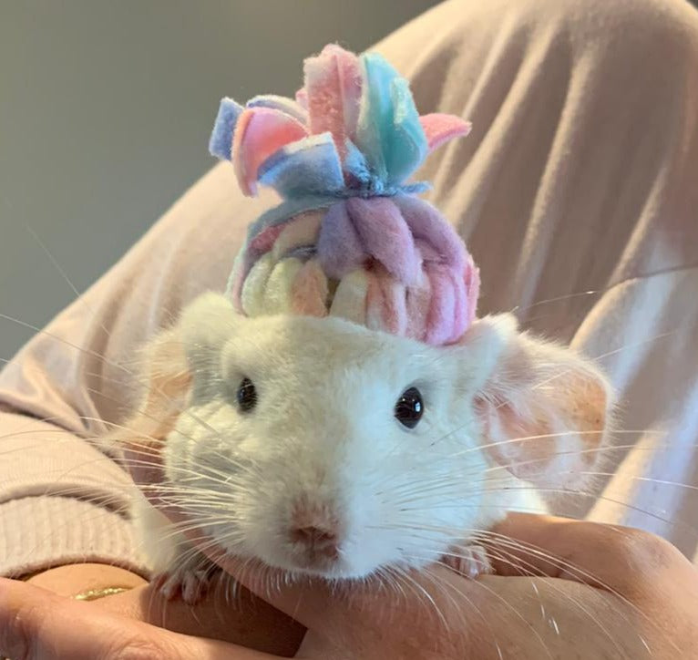 Chinchilla Beanie Fleece Hat