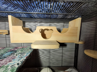 Chinchilla Top or Side Cage