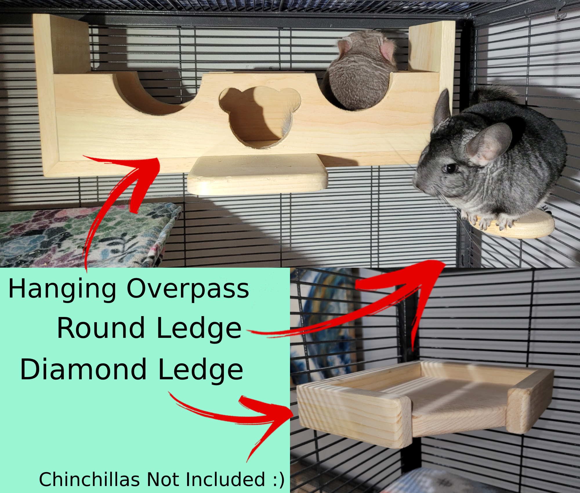 Chinchilla Ledge Hanging Bridge